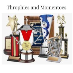Trophies & Mementoes Supplier in India