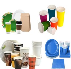 Disposable Items, Paper Cups and Paper Plates